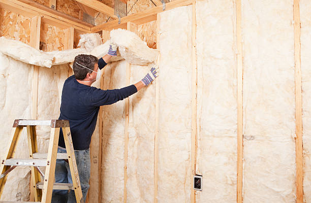 Best Attic Insulation Installation in Linglestown, PA