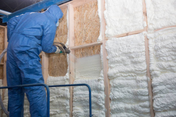 Best Wall Insulation Installation in Linglestown, PA